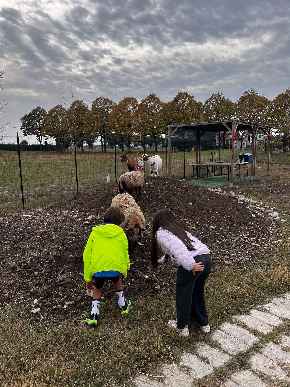 Due bambini osservano da vicino le pecore e gli altri animali della Fattoria Pedagogica durante “Un giro tira l’altro”.